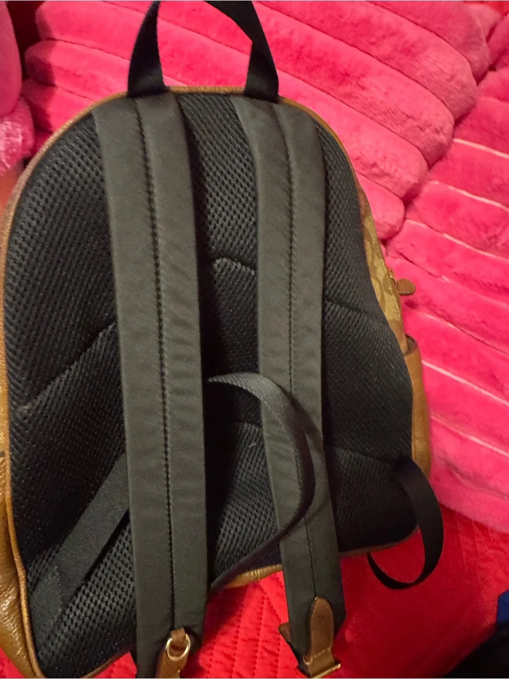 Coach Brown Interior Tote with Leather Patch